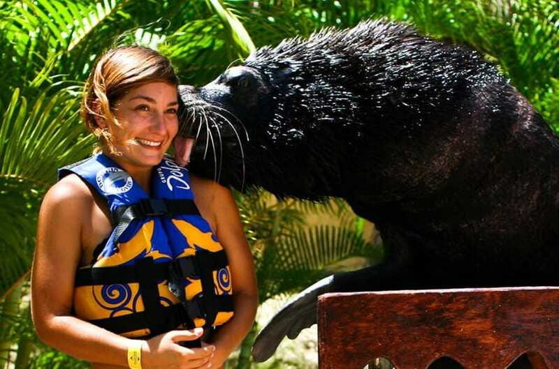Puerto Vallarta: Sea Lion Discovery at Aquaventuras Park - Access to Aquaventuras Water Park