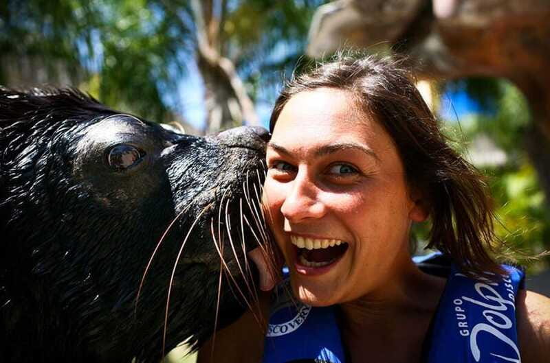Puerto Vallarta: Sea Lion Discovery at Aquaventuras Park - Purchase Options for Photos and Videos