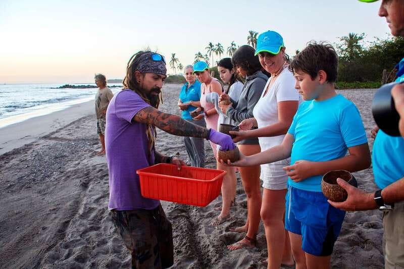 Puerto Vallarta: Sea turtle release at Sunset - Educational Insights about Olive Ridley Sea Turtles