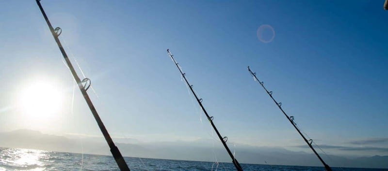 Puerto Vallarta: Shared Fishing - Key Points