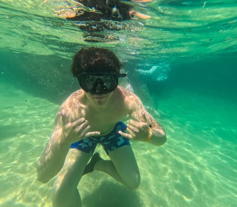 Puerto Vallarta: Snorkel in Colomitos Beaches & Canopy Tour - Discover the Best of Puerto Vallarta’s Wilderness and Beaches in One Day