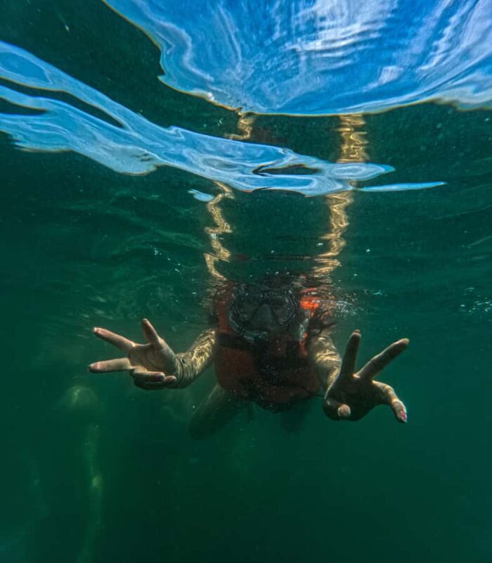 Puerto Vallarta: Snorkel in Colomitos Beaches & Canopy Tour - Snorkeling at Colomitos Beach: Small but Spectacular