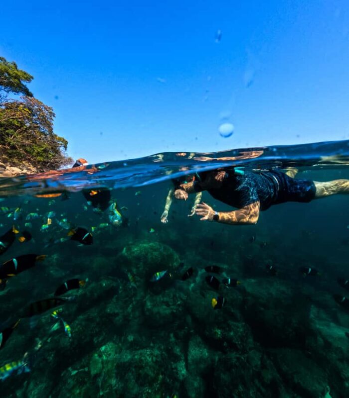Puerto Vallarta: Snorkel With Tropical Fishes & Canopy Tour - Discover the Best-Organized Adventure Tour in Puerto Vallarta