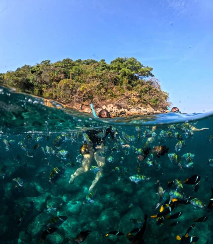 Puerto Vallarta: Snorkel With Tropical Fishes & Canopy Tour - Snorkeling at Majahuitas: Feeding Tropical Fish and Underwater Photos