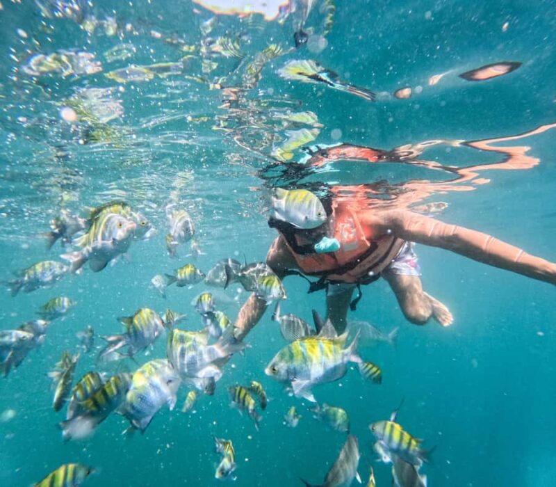 Puerto Vallarta: Snorkel With Tropical Fishes & Canopy Tour - Exploring Las Ánimas Zipline Park: Over 20 Thrilling Jungle Challenges