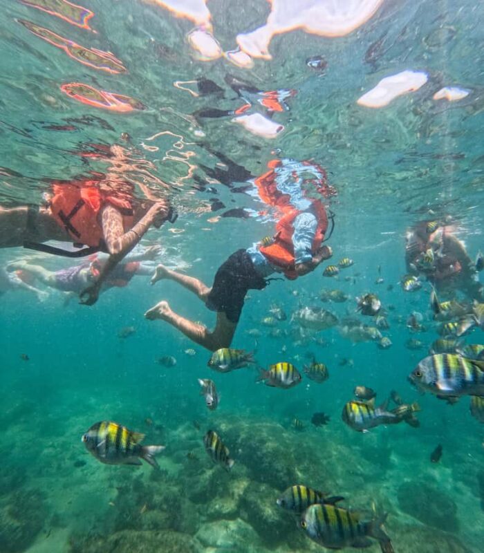 Puerto Vallarta: Snorkel With Tropical Fishes & Canopy Tour - Extended Beach Relaxation at Las Ánimas