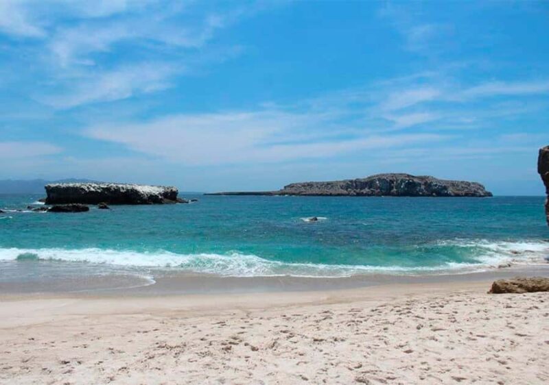 Puerto Vallarta: Snorkeling, Beach, Sailing to Marietas Park - Who Should Avoid This Tour?