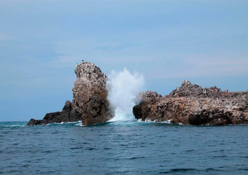 Puerto Vallarta: Snorkeling, Beach, Sailing to Marietas Park - Comparing This Tour to Similar Experiences
