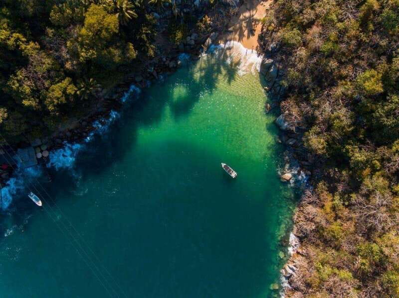 Puerto Vallarta: The Predator of the Sea - Sunset on the Water with Music and Drinks