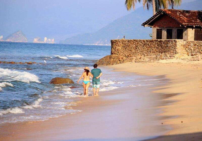 Puerto Vallarta: The Predator of the Sea - Comparing to Similar Experiences in Puerto Vallarta