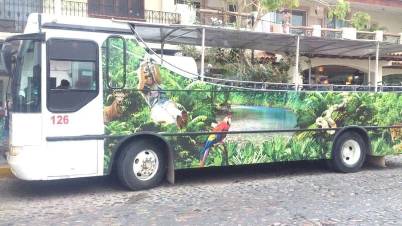 Puerto Vallarta: Tropical City & Zipline Adventure - Scenic Views from the Sunset Points