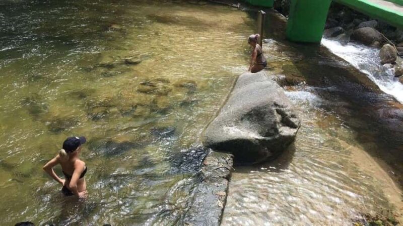 Puerto Vallarta: Tropical City & Zipline Adventure - Practical Details and Tour Logistics