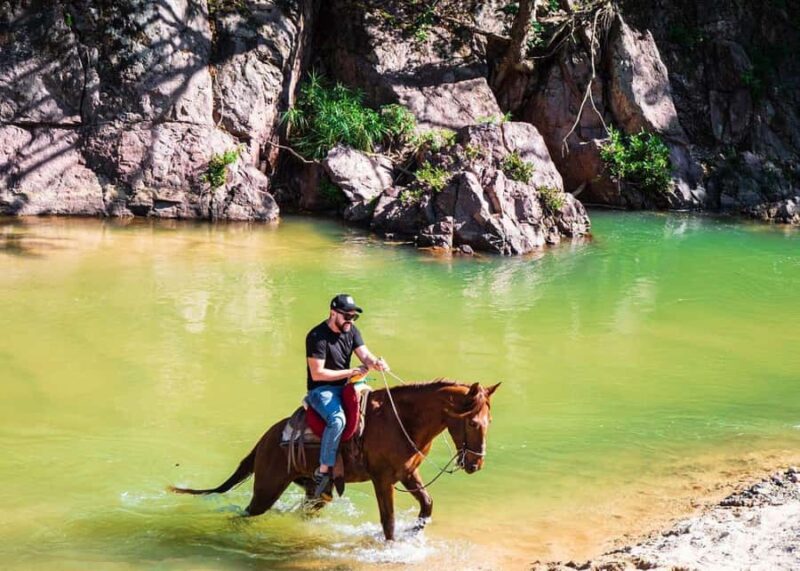 Puerto Vallarta: Tropical Forest Horseback Ride - The Guide and Horses: Friendly, Knowledgeable, and Well-Trained