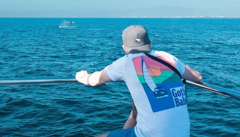 Puerto Vallarta: Whale Watching All Inclusive Experience - Key Points