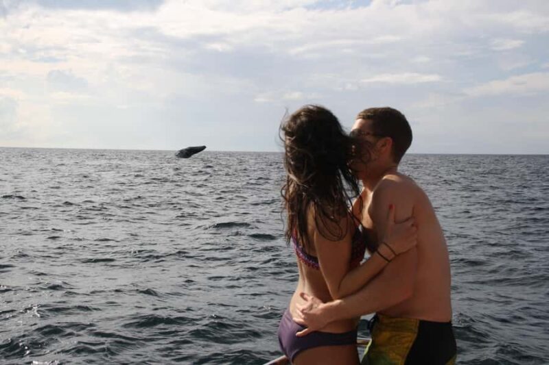 Puerto Vallarta: Whale Watching All Inclusive Experience - Timing and Booking Flexibility