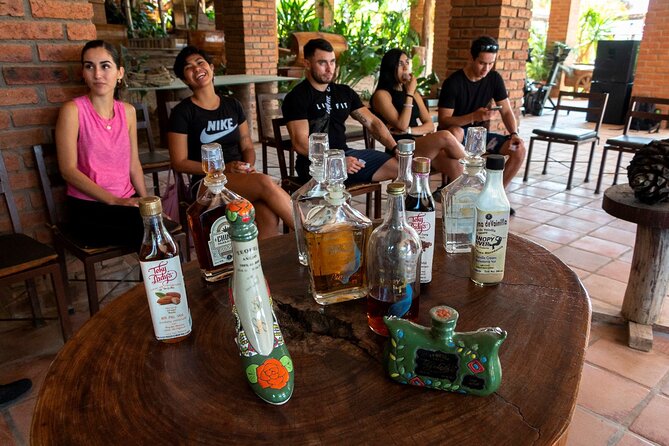 Puerto Vallarta Zipline, Mule ride and Jorullo Bridge Walking - Crossing the Jorullo Suspension Bridge: The Longest in the World