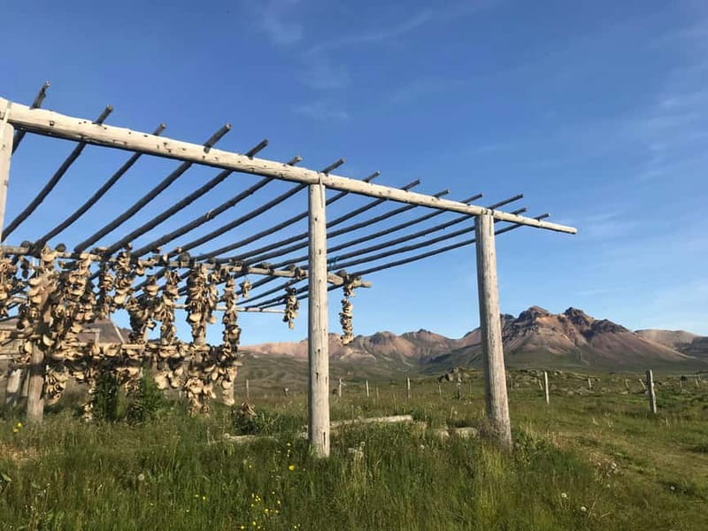 Puffin & Gufufoss Waterfall Tour from Seydisfjordur Port - Exploring Borgarfjörður Eystri Village and Lindarbakki Turf House