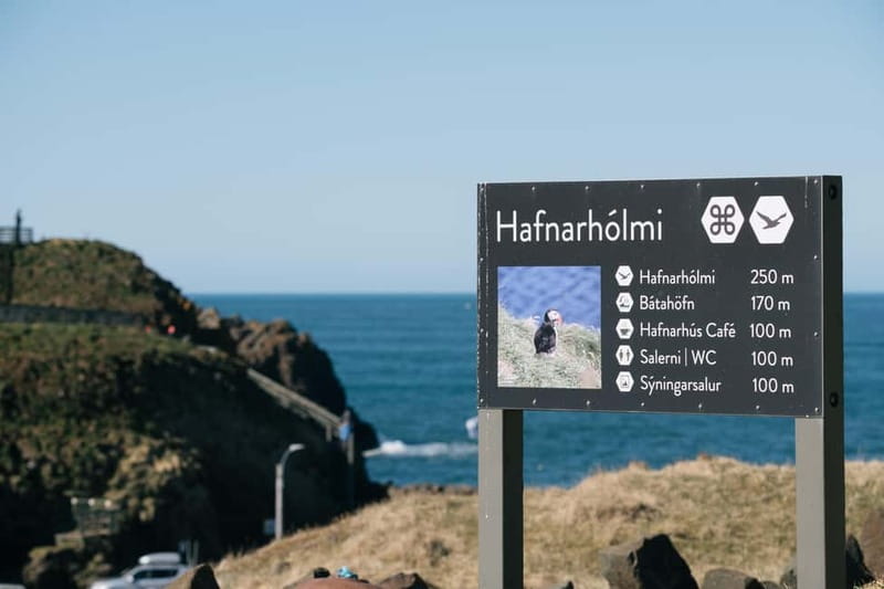 Puffin & Gufufoss Waterfall Tour from Seydisfjordur Port - Who Will Enjoy This Tour Most