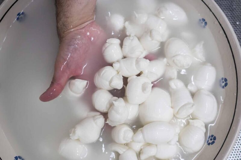 Puglia: Masseria Seppunisi Tour, Cheese, Burrata Tasting - How the Tour is Structured and Pacing