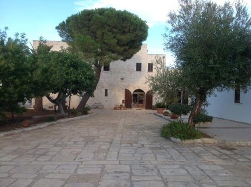 Puglia: Olive Oil Tasting Experience with Olive Grove Walk - Visiting the Underground Olive Mill