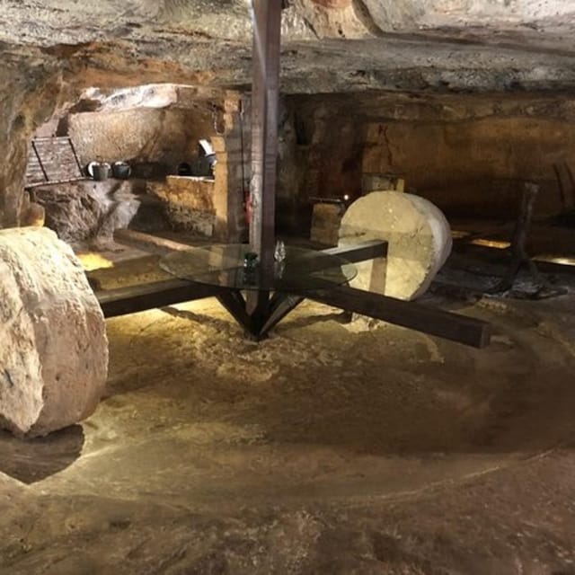 Puglia: Olive Oil Tasting Experience with Olive Grove Walk - Tasting High-Quality Extra Virgin Olive Oils