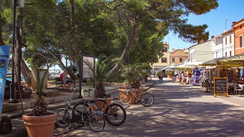 Pula: All-Inclusive Brijuni Boat Tour w Lunch, Drinks & Swim - The Two-Hour Swim Stop in Faana