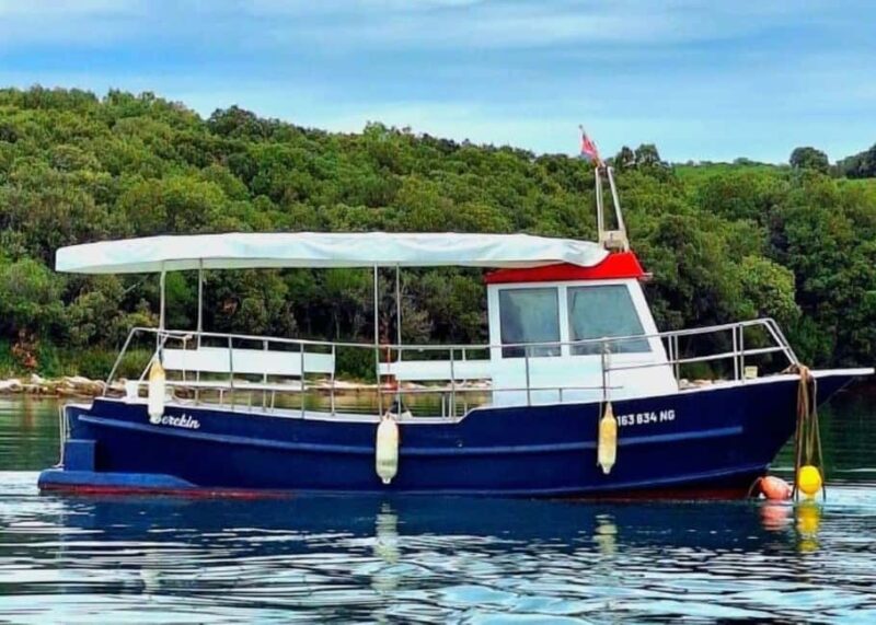 Pula: Boat Tour with Swimming and Snorkeling - Key Points