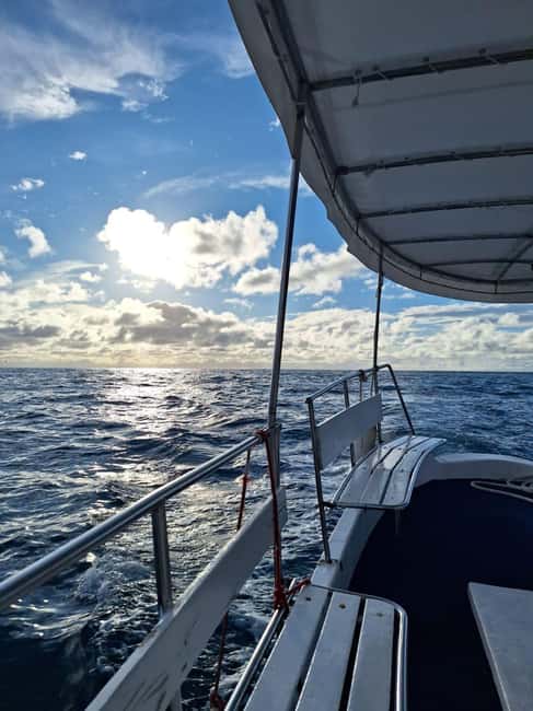 Pula: Boat Tour with Swimming and Snorkeling - Relaxing at Safari Bar in Nature