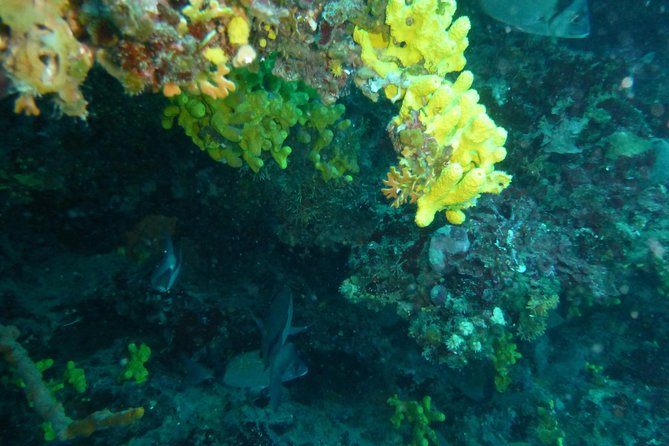 Pula Boat Trip with Snorkeling - Equipment and Gear Options