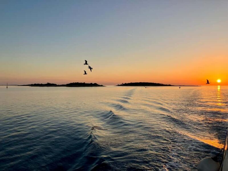 Pula: Brijuni National Park Sunset Cruise with Open Bar - The Scenic Route Around Brijuni Islands and Pula Coast