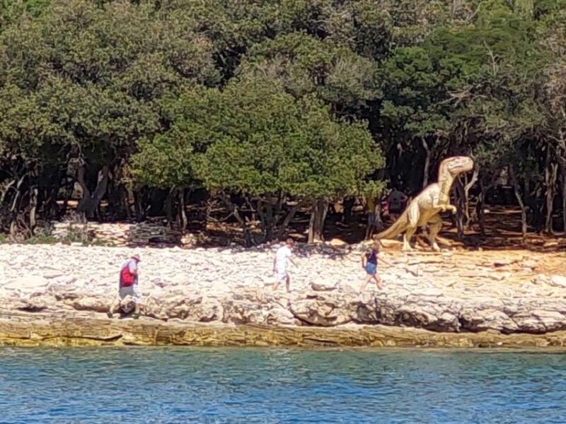 Pula: Brijuni National Park & Swimming Tour (in Faana) - Comparing This Tour to Similar Options