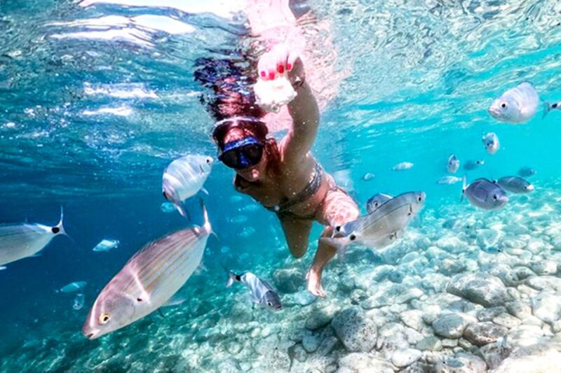 Pula: Brijuni National Park Tour with Island Visit - Who Will Appreciate This Tour