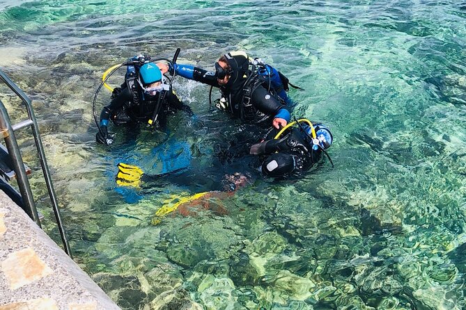 Pula Discover Scuba Diving Package - Highlights of Marine Life and Underwater Scenery