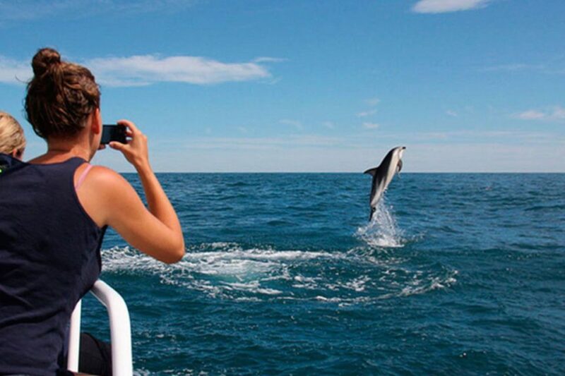 Pula: Dolphins Watching & Wildlife Cruise with all inclusive - Starting Point at Korkyra Boat Excursions in Pula