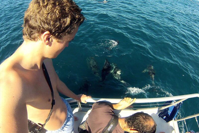 Pula: Dolphins Watching & Wildlife Cruise with all inclusive - Why This Tour Works Well
