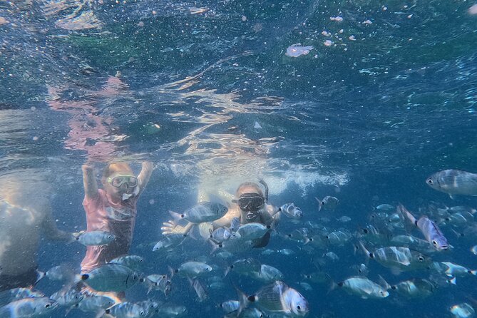 Pula: Half-Day Sailing with Drinks, SUP & GoPro (Max 6 Guests) - Practical Logistics & Booking Details