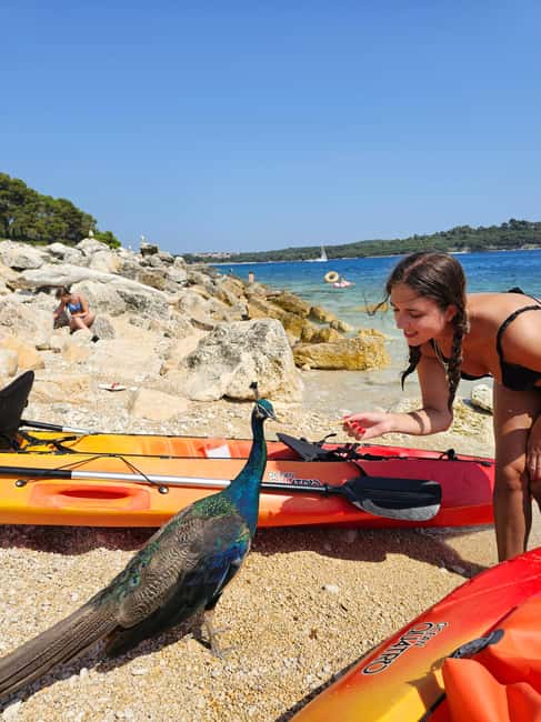 Pula: Kayak Tour to Island St. Jerolim and Kozada - Key Points