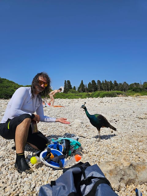 Pula: Kayak Tour to Island St. Jerolim and Kozada - The Guides and Their Role on the Tour