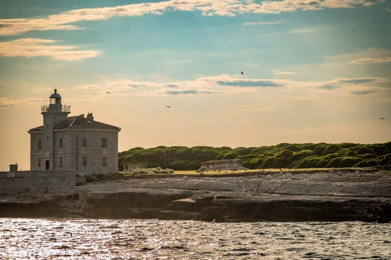 Pula: National Park Brijuni/2 swimming stops/lunch/drinks - Return Cruise to Pula and Final Stops