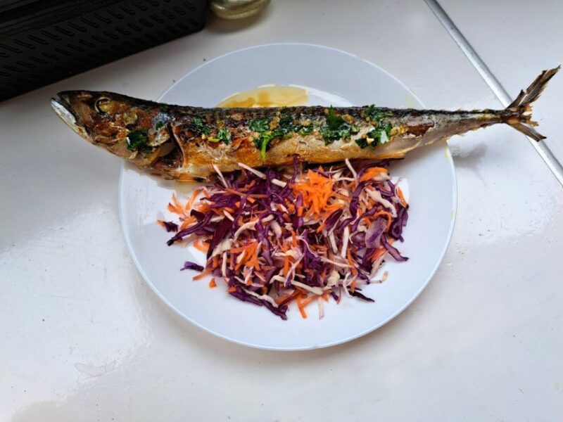 Pula: National Park Brijuni Island Visit & Dolphin Cruise - Starting the Adventure from Pula Harbor