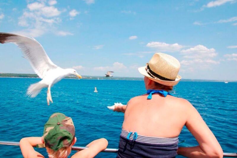 Pula: National Park Brijuni Island Visit & Dolphin Cruise - What Sets This Tour Apart