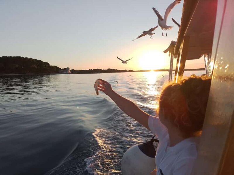 Pula: New Year Special Dolphin Sunset Cruise & Dinner - Who Will Enjoy the Pula Sunset Dolphin Cruise?