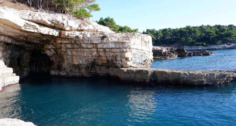 Pula: Private Brijuni Tour With Swimming, Dinner & Drinks - Fresh, Chef-Made Dinner with Drinks