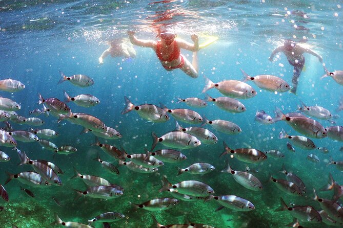 Pula PRIVATE Discover Scuba Diving - Snorkeling in Clear Blue Waters: A Highlight of the Tour