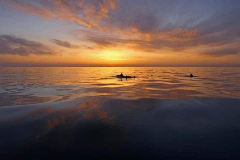 Pula: Private Sunset Boat Trip with Dolphins - Pula: Private Sunset Boat Trip with Dolphins — An Intimate Adriatic Escape