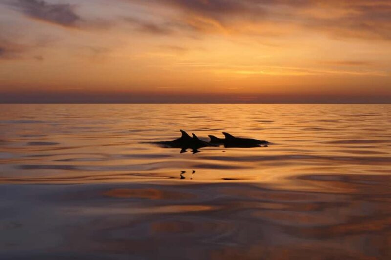 Pula: Private Sunset Boat Trip with Dolphins - Scenic Sunset Views Over the Adriatic Sea