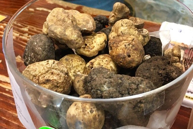 Pula Roman Heritage Walking Tour - Exploring the Small Roman Theatre and Its Roots