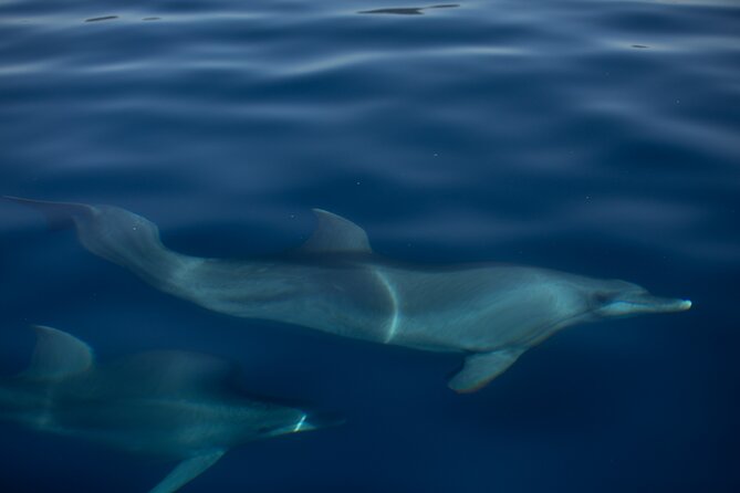 Pula Sunset Cruise: Brijuni Views, Drinks, Romance (Max 6 Guests) - Practical Details and Booking Considerations