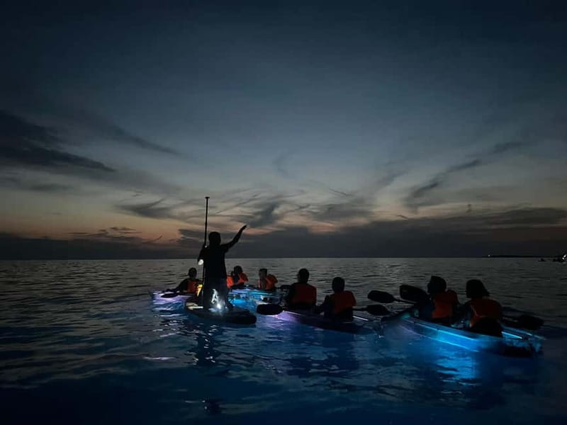 Pula: Sunset/Night Illuminated Transparent Kayak Tour - Exploring the Sea Canyon with Light and Sound
