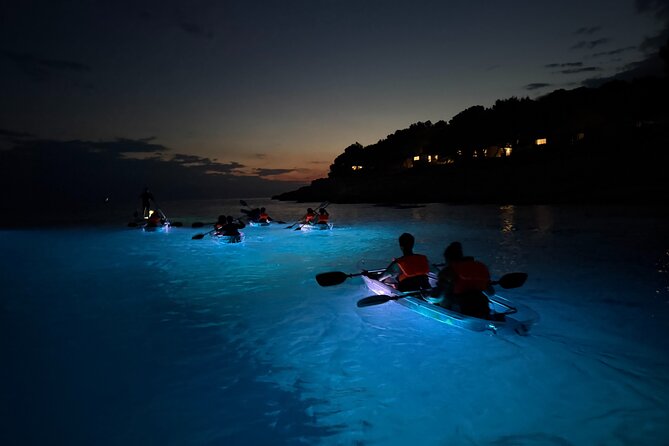 Pula: Sunset/Night-time Illuminated Transparent Kayak Tour - Logistics and Group Experience